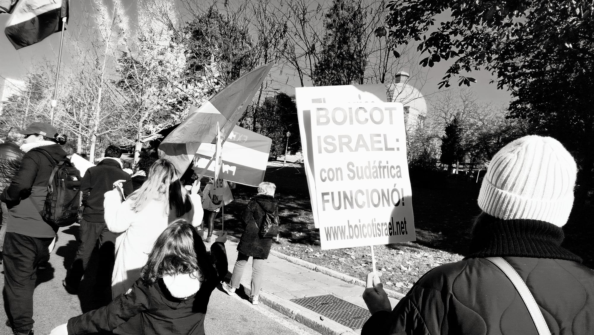 WhatsApp Image 2024-12-20 at 06.05.44