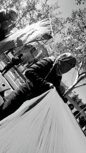 WhatsApp Image 2024-12-20 at 06.11.17