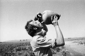 1983266-16a andalucia portret van mezelf