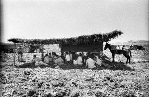 1983269-27a andalucia