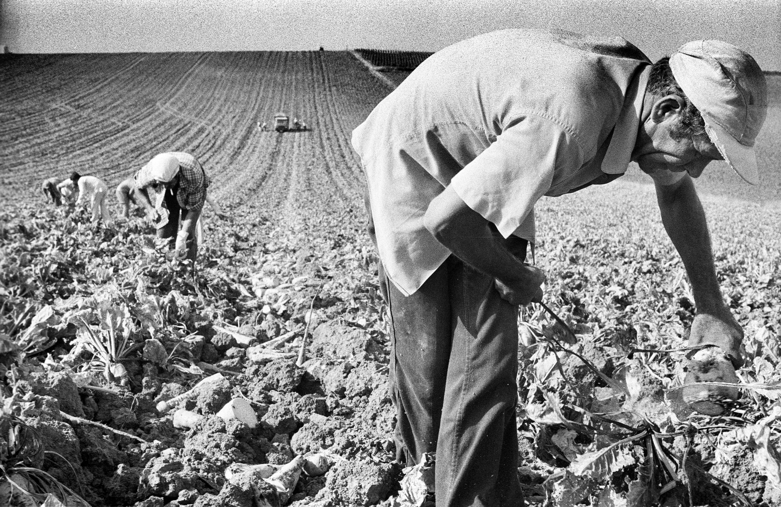 1983275-21a andalucia