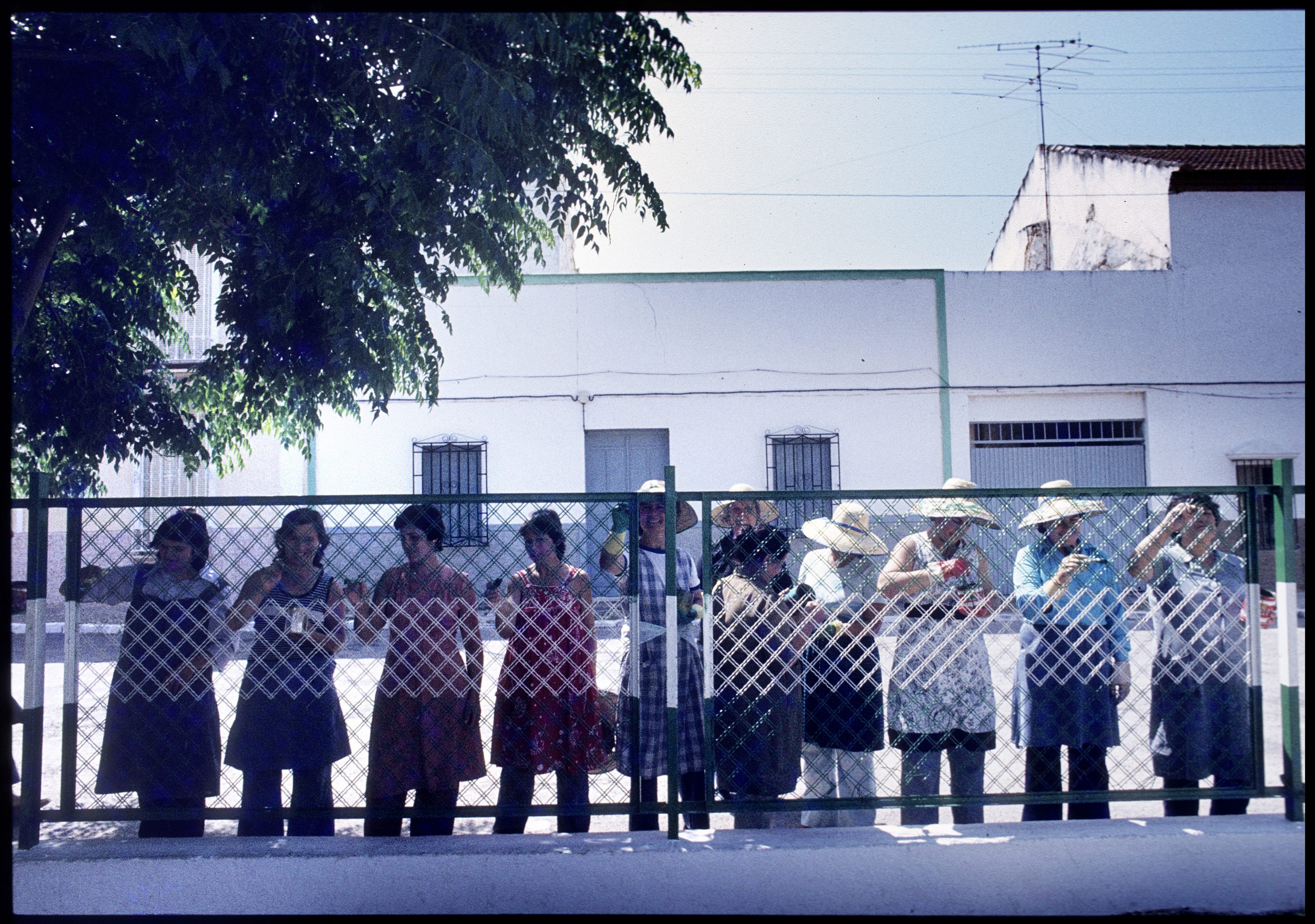 d1983012-03 marinaleda