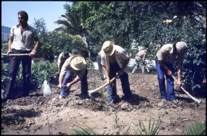 d1983013-04 marinaleda