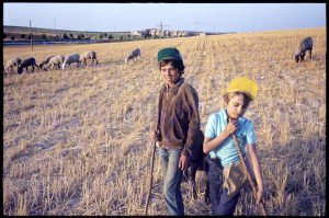 d1983013-16 marinaleda