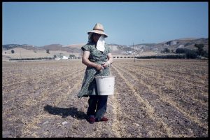 d1983014-06 andalucia