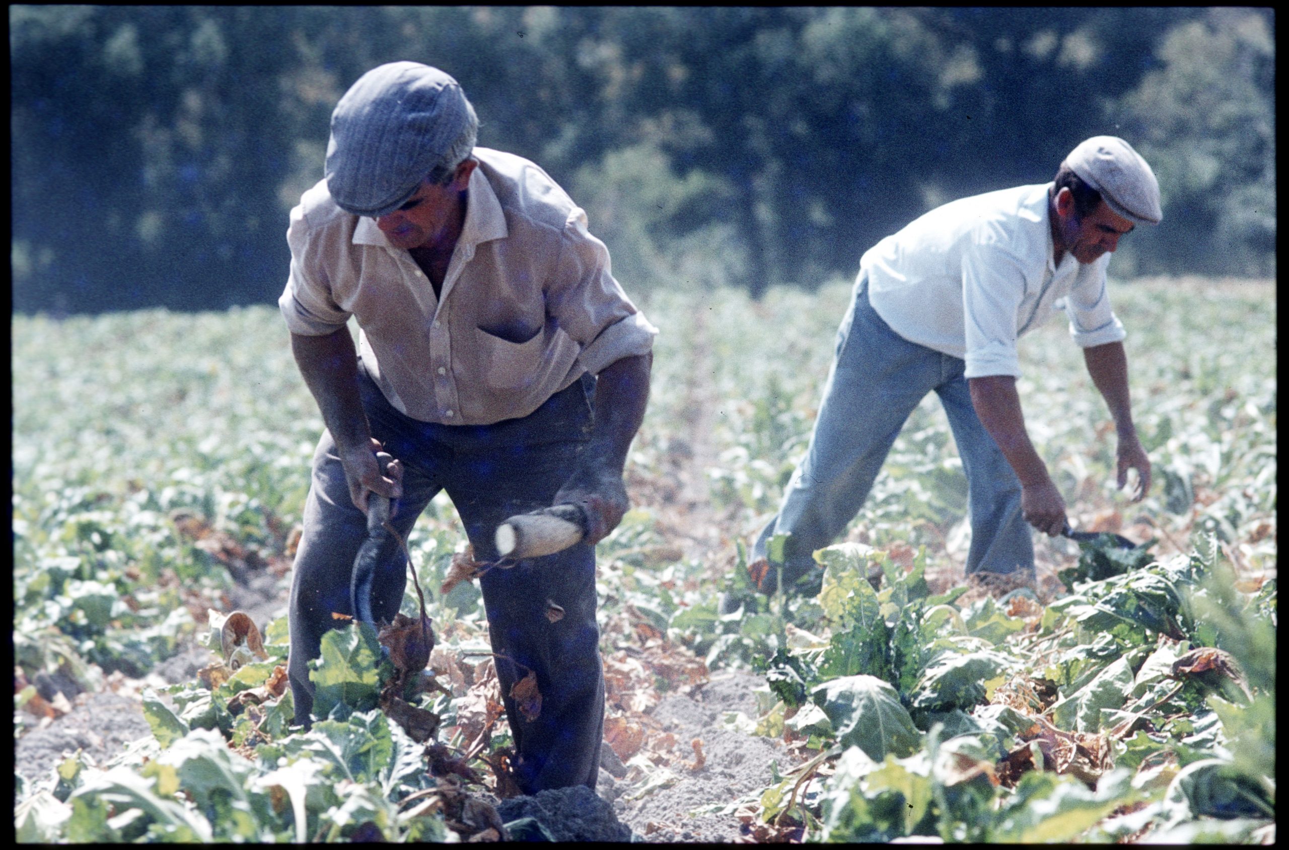d1983015-05 andalucia
